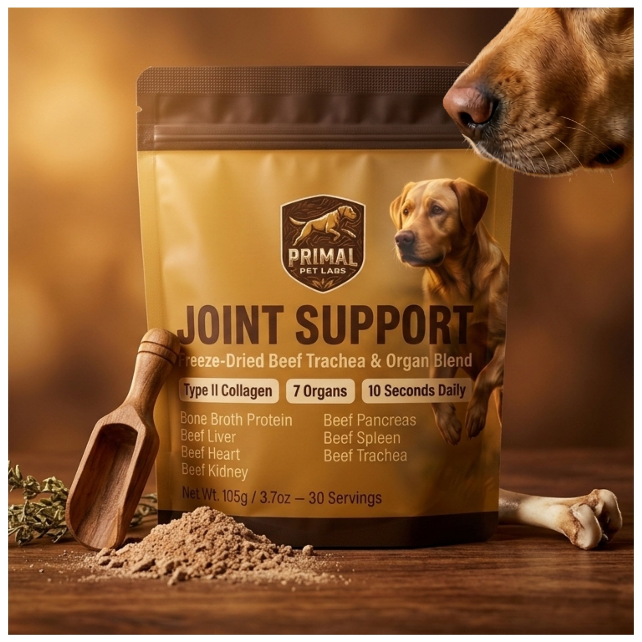 Primal Joint Support Formula