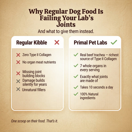 Primal Joint Support Formula