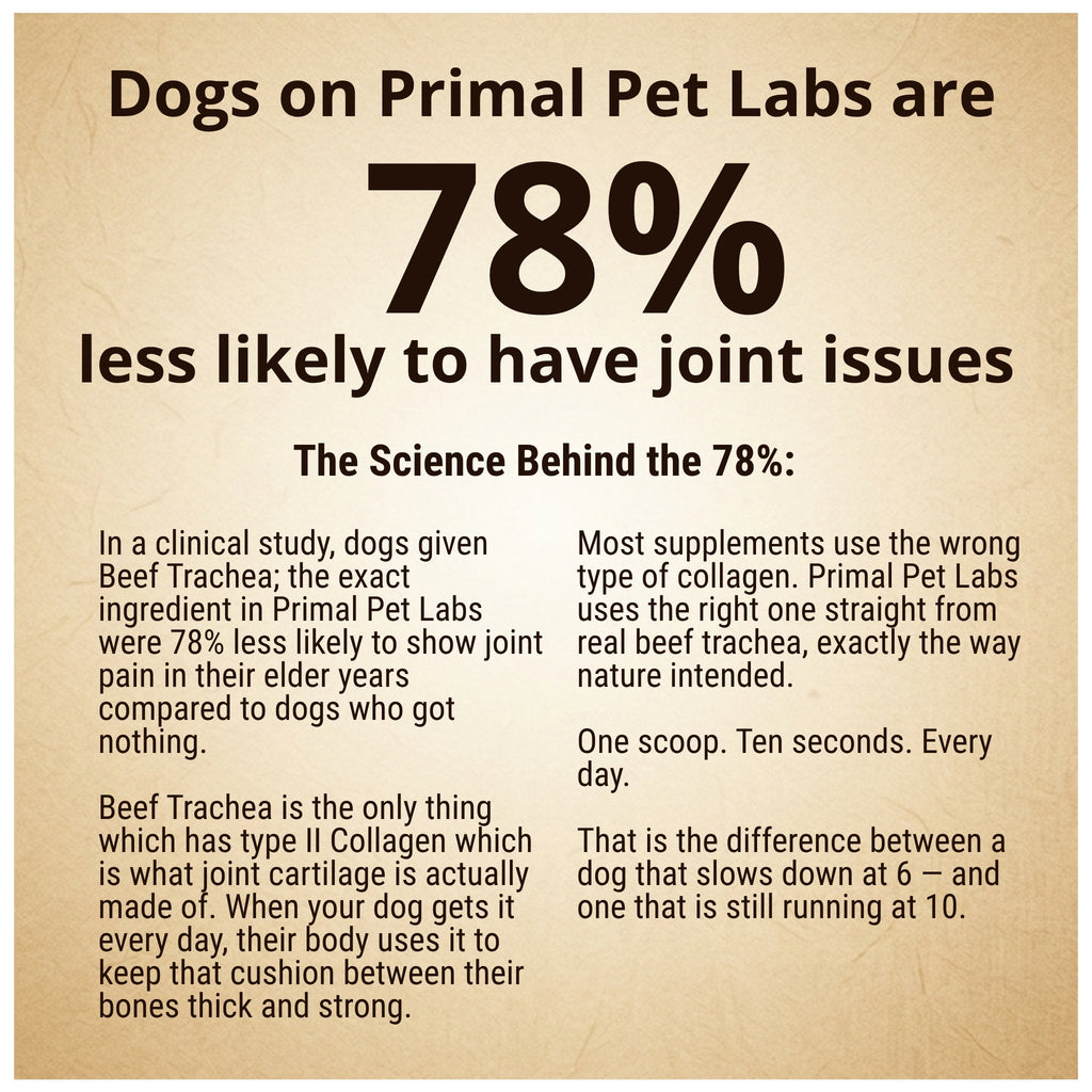 Primal Joint Support Formula