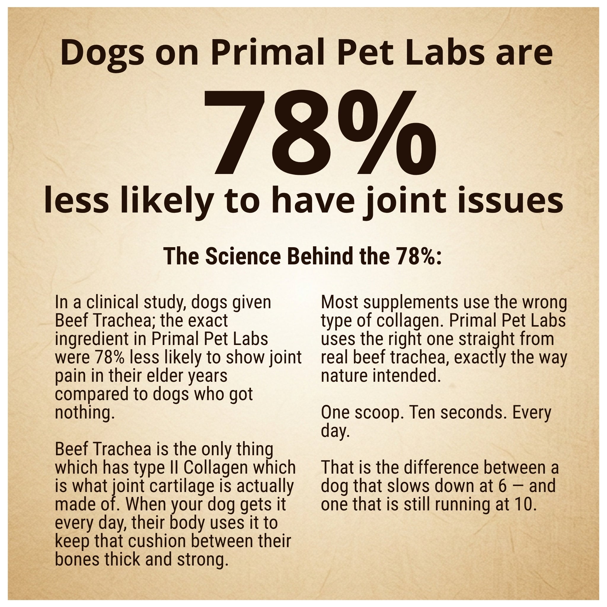Primal Joint Support Formula