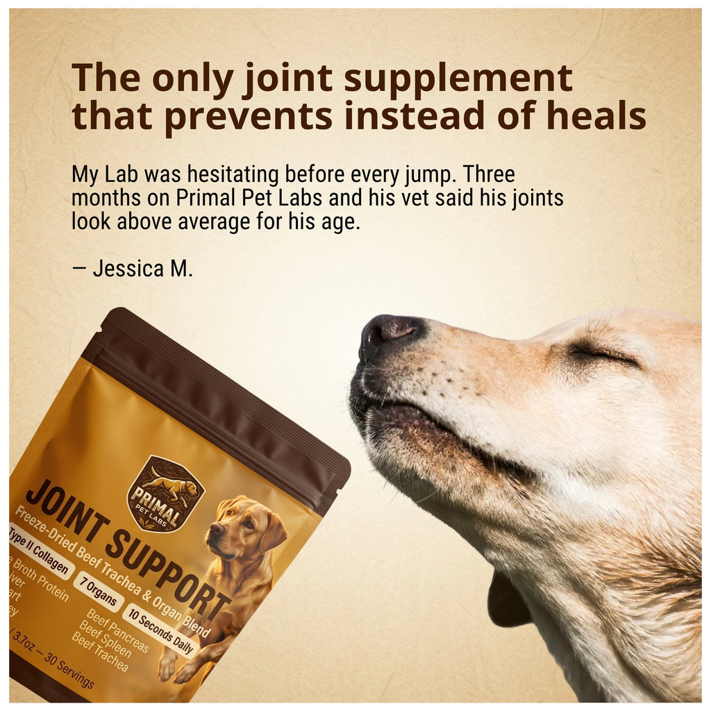 Primal Joint Support Formula