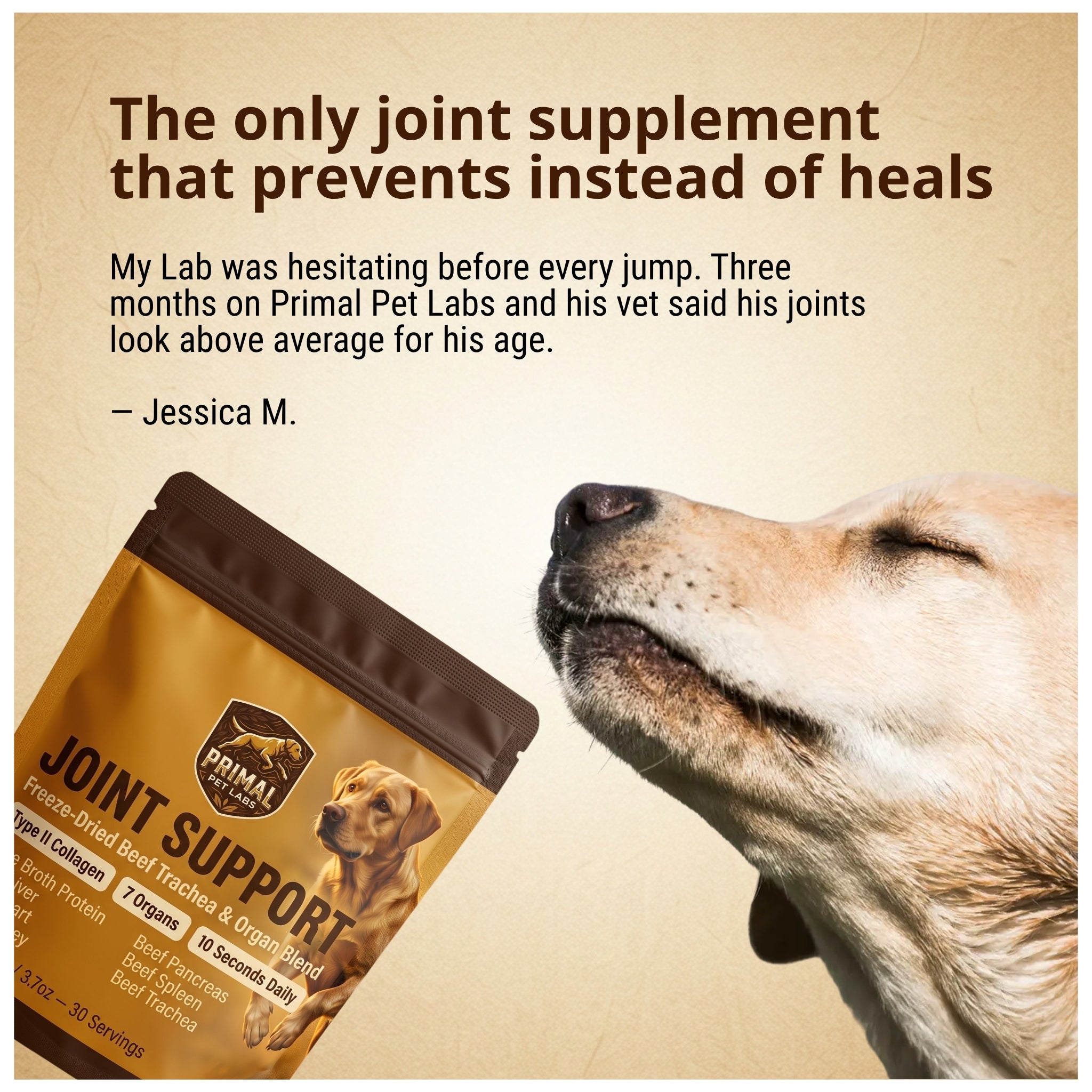 Primal Joint Support Formula