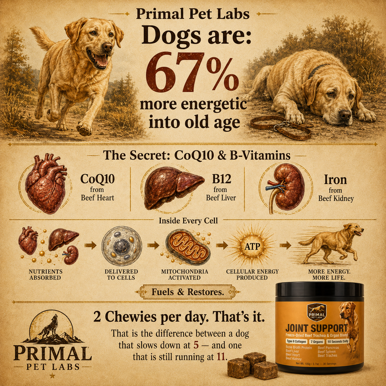 Primal Pet Labs Organ Blend